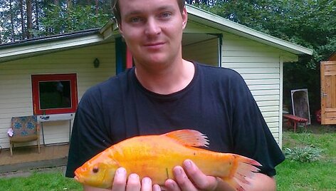 Juliaus &bdquo;auksinis&ldquo; lynas