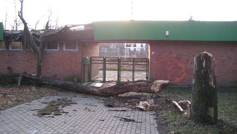 Klaipėdos skulptūrų parkas po vėtros