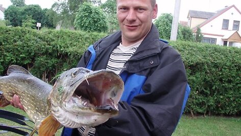 Mindaugo lydeka