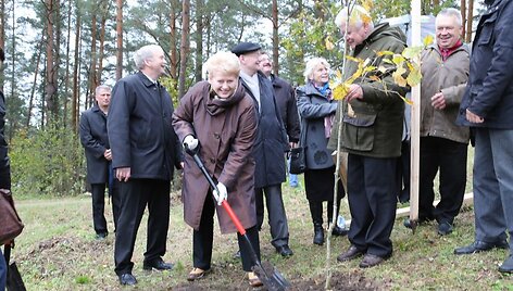 Dalia Grybauskaitė sodina ąžuoliuką.