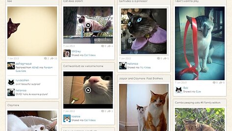 Socialinis tinklas &bdquo;Catmoji&ldquo;