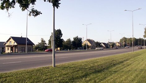 Lieporiai