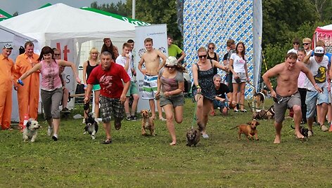 Festivalio &bdquo;Galapagai&ldquo; akimirka