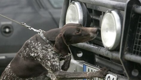 Remi