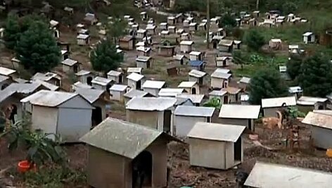 &Scaron;uni&scaron;ka favela ir jos gyventojai