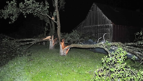 Lapelių kaimas po stichijos &scaron;ėlsmo