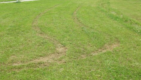 Automobilio vėžės paplūdimio teritorijoje