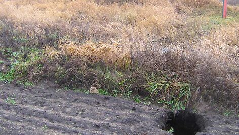 Bebrų urvas