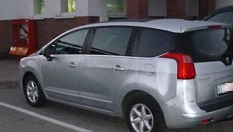 Sulaikytas automobilis