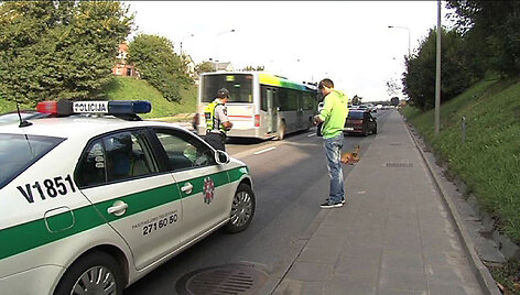 Ukmergės g. į kelią i&scaron;bėgo stirna