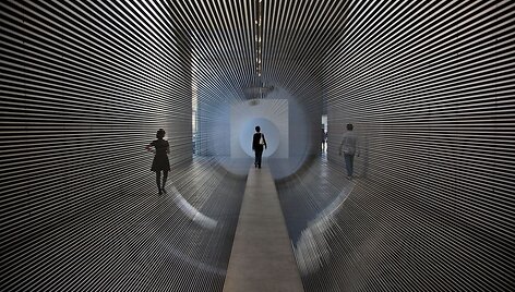 Žilvinas Kempinas, Tube, 2008. 