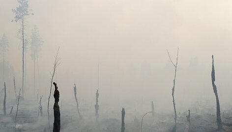 Smogas Maskvoje
