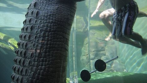 Australijoje turistai gali i&scaron;bandyti &scaron;ią kvapą gniaužiančią paslaugą.
