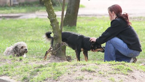 Įsigaliojusios naujos gyvūnų laikymo taisyklės labiausiai keitėsi bičių ir &scaron;unų augintojams.