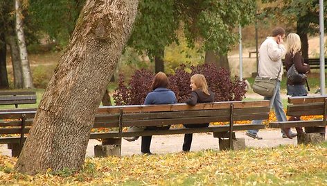 Nepaisant sustabdyto konkurso, nauji suoliukai Sereikiškių parke turėtų atsirasti iki kitos vasaros. 