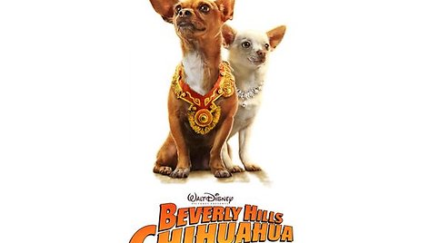 Filmas: Čihuahua iš Beverli Hilso | Beverly Hills Chihuahua  