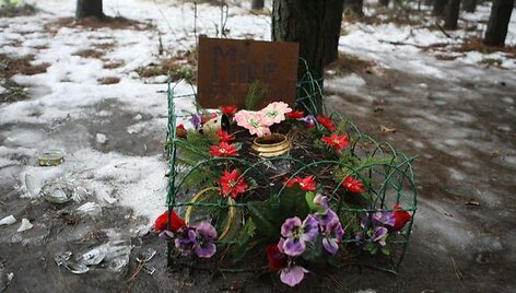 Vilniuje ir dabar veikia keletas gyvūnų kapinių, tačiau jos neoficialios ir neadministruojamos.