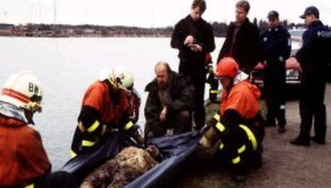 Filmas &bdquo;Baimės geografija&ldquo;