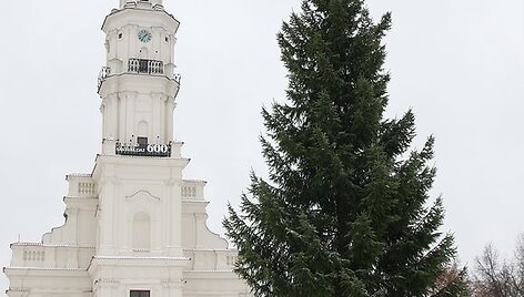 Rotu&scaron;ės aik&scaron;tėje jau &bdquo;apsigyvenusi&ldquo; žaliaskarė bus i&scaron;kilmingai įžiebta &scaron;į &scaron;e&scaron;tadienį.