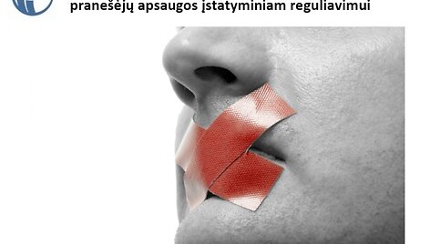 TI ataskaitos iliustracija