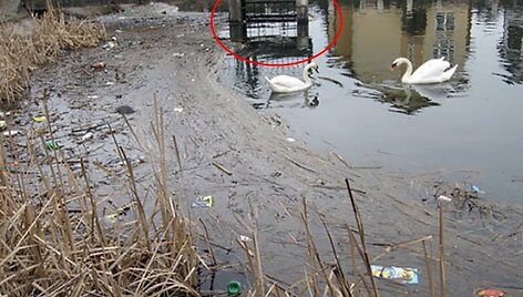 Asociatyvinė iliustracija: apskritimu pažymėta tvenkinio &scaron;achta.