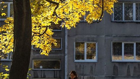 Ryškiomis spalvomis ruduo pasiryžęs nukonkuruoti pavasarį.