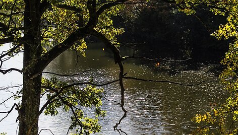 Ry&scaron;kiomis spalvomis ruduo pasiryžęs nukonkuruoti pavasarį.