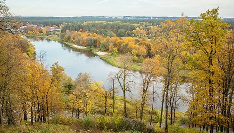 Verkių dvaro parko apžvalgos aikštelė