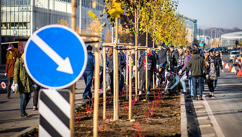 Vilniaus Konstitucijos prospekte – medžių sodinimo talka