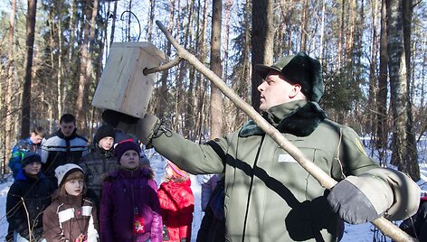 Verkių parke i&scaron;kelti inkilai