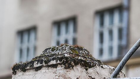 Apleistos mokyklos pastato remontui reikia apie 12 mln. Lt 