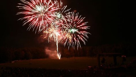 Festivalyje varžėsi trys pirotechnikoų komandos i&scaron; užsienio, pasirodymą surengė ir lietuvių fekerverkų įmonė &bdquo;Blikas&ldquo;. Garsiausias savo dainas renginyje atliko M.Mikutavičius.