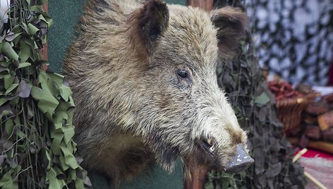 Dusetose vyksta tradicinės Sartų žirgų lenktynės.