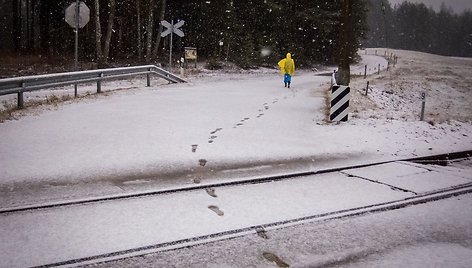 Kelionė per Aukštaitijos nacionalinio parko miškus ir pievas.