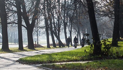 Vilnius paniręs į melsvą rūką