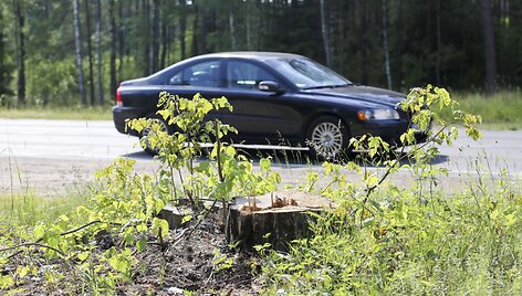 Kelio Vilnius-&Scaron;venčionys-Zarasai 16-21 kilometro rekonstrukcija