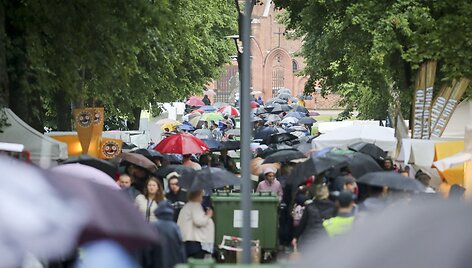 Rasos &ndash; Joninių &scaron;ventė Kernavėje 2015