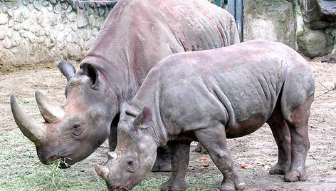 Berlyno zoologijos sodas &ndash; vienas lankomiausių turistų objektų