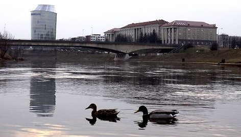 Pavakarę nusileidus prie Neries, gali matyti vagoje tarytum netelpantį jos vandenį, stebėti praeivių santykį su upe, mėginti aplenkti upės srovę. 