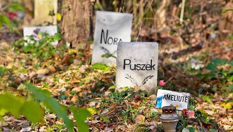 Nelegalias gyvūnų kapines žmonės nusiteikę ginti nuo buldozerių.