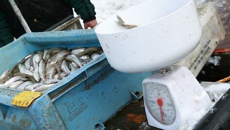 J.Basanavičiaus gatvėje buvo galima įsigyti ir &scaron;viežių stintų.