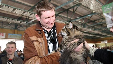 Aurelijus Žukauskas susipažino su vienos stambiausių kačių rū&scaron;ių atstovu &ndash; Meino me&scaron;kėnų veislės kate.