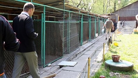 Kauno medžiotojų sąjungos atstovai tikina, kad verslininkas N.Žiūkas gyvūnams laikyti skirtus narvus pasistatė savavališkai.