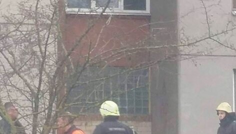 Įvykio vietoje prireikė visų specialiųjų tarnybų pagalbos.