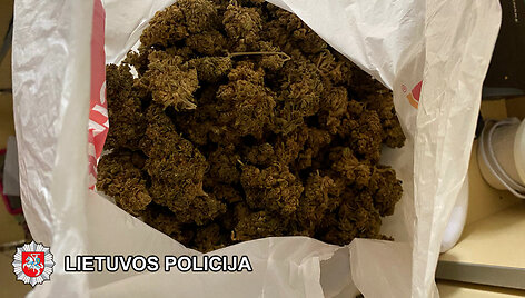 Bylos įkalčiai