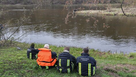 Briedžio gelbėjimo operacijos paspartinti nepavyko