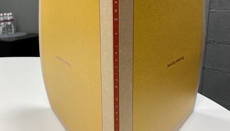 &bdquo;Swans&ldquo; albumas