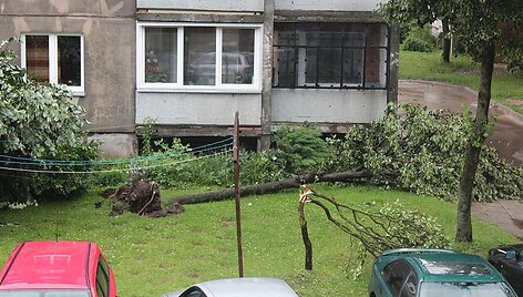 Vėtra Mažeikiuose