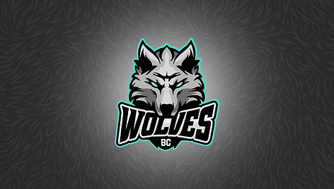 BC „Wolves“ logotipas