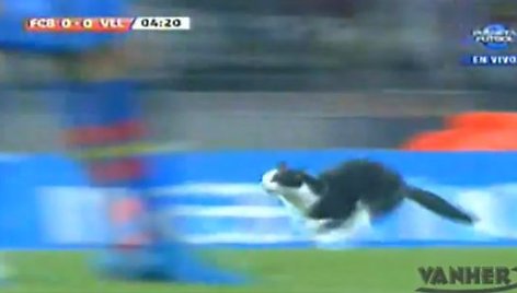 Aikštelėje iš kažkur atsidūrusi juoda katė prajuokino rungtynes stebėjusius žiūrovus, tačiau laimės „Barcelona“ ekipai neatnešė